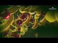 Paragon Parasite Cleanse Review: Does It Really Work? | paragoncleanse.com #paragon #parasite
