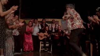 Download lagu David De Alva Flamenco Gypsy show￼