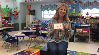 1-Race to Read Abeka word cards - one vowel words