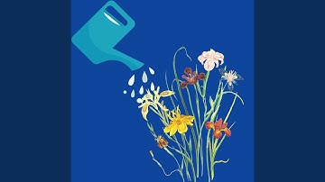 Atmospheric Backdrops for Advanced Work