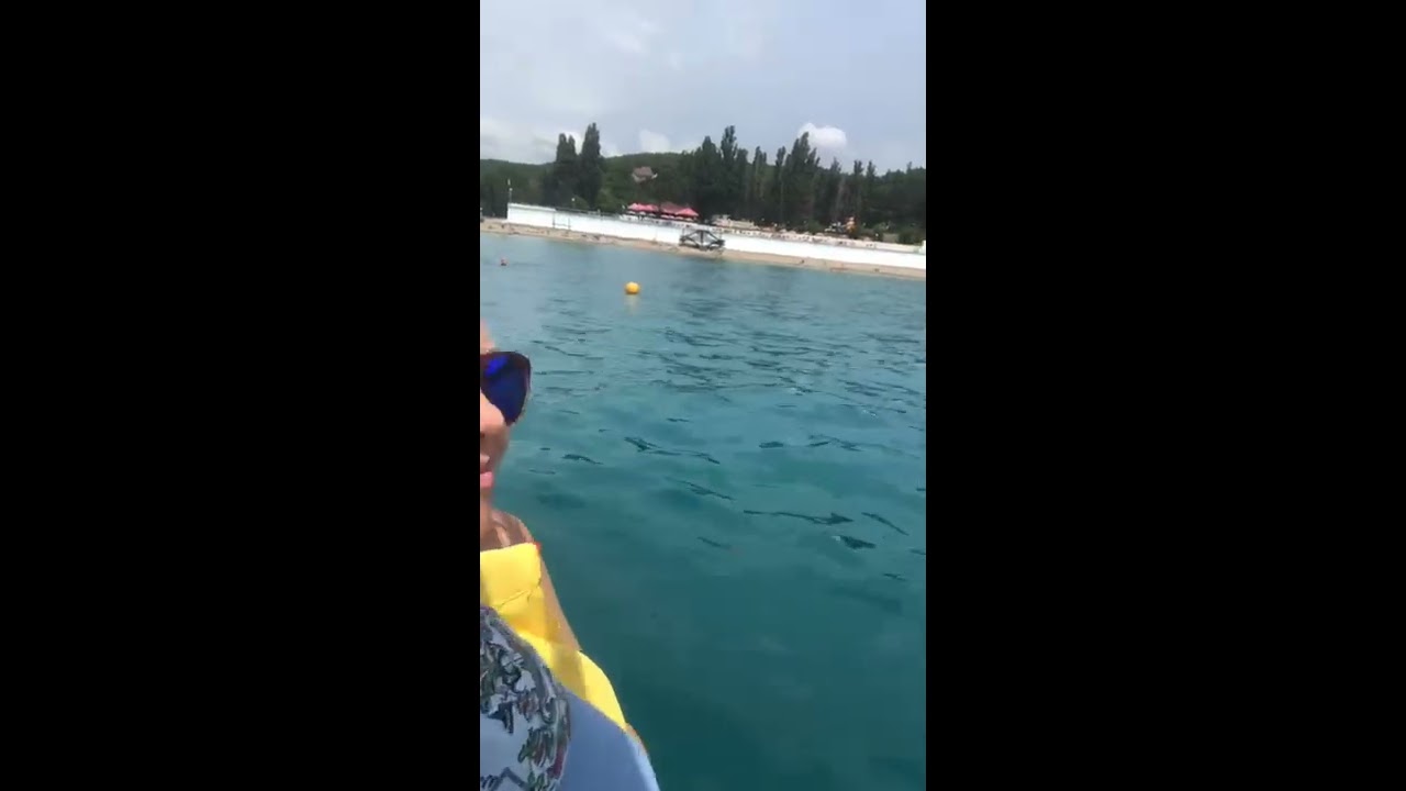 Плавание с дельфинами в Чёрном Море фотки