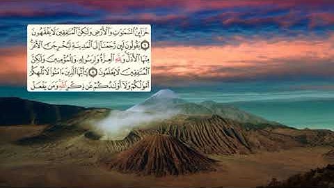 555-page - سعد الغامدي - -سورة المنافقون -AL-MUNAFIQUN / LES HYPOCRITES - 63