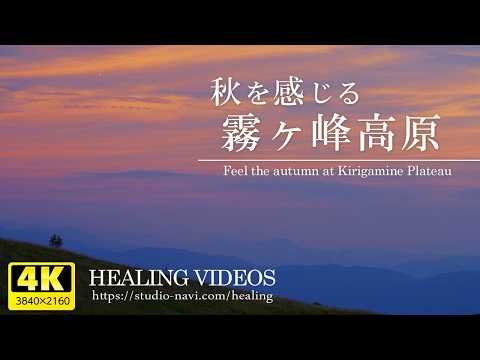 【癒し・4K風景映像／実写】秋を感じる霧ヶ峰高原／高原に広がる黄金色に焼けた夕焼けとマジックアワーの絶景、優しいBGMで日頃の疲れを癒してください。のサムネイル