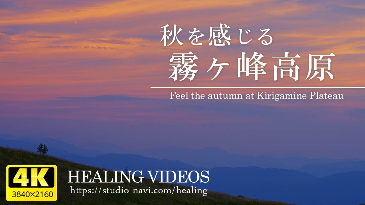 Relaxation] Experience the Japanese autumn at Kirigamine Highlands
