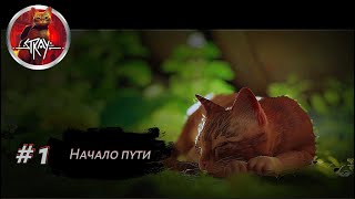видео: НАЧАЛО ПУТИ ➤ Stray #1 картинка: НАЧАЛО ПУТИ ➤ Stray #1