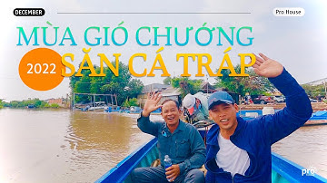 Bình Đại #3: Câu CÁ TRÁP mùa gió chướng 2022 (Phần 1) | Sea bream fishing