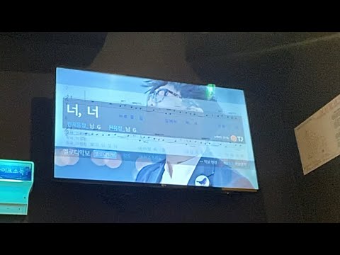 스트레이 (The Stray) - 너, 너 커버 (+3키)