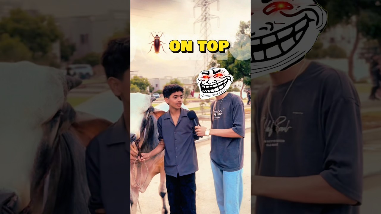 The End 😳😂 #mushayyanmk #foryoupage #comedyvideo #funnyvideos #viralvideo #funny #fypシ゚