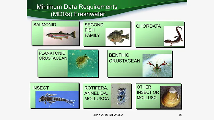 WQS Academy Day 02 P03 Aquatic Life Criteria Denton