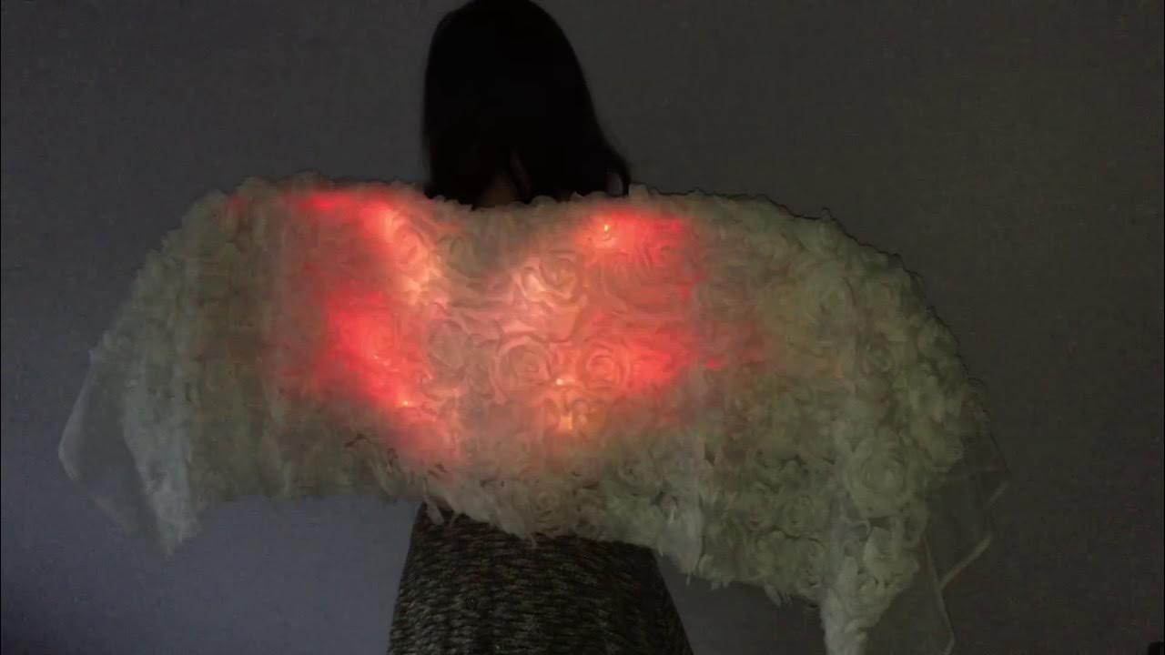 Neopixel Light Up Fire and Ice Wings YouTube
