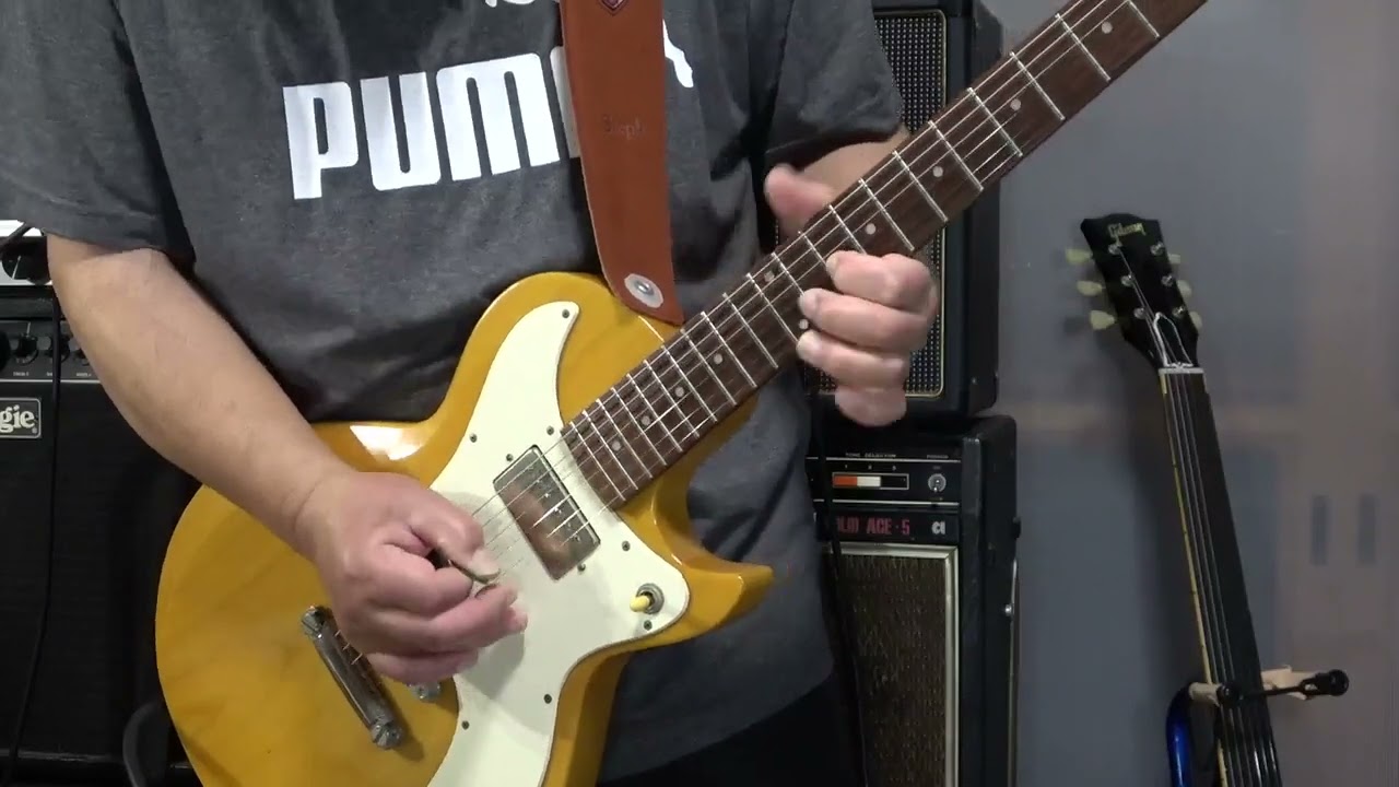 kissy's Guitar Collections】Edwards Marauder E ML 90LT 2006年 一発