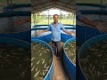 मछली पालन करने के लिए यह पानी के टंकी खरीदे