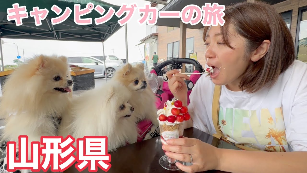 【車中泊】キャンピングカーで愛犬３匹と山形県を遊びつくしました