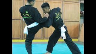 TEKNIK BANTINGAN PENCAK SILAT