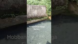 Mual Marga Sianturi, Ada Yang Tau Ini Di Lokasi Mana?
