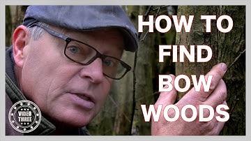 Bos voor boogschieten. Ik heb een jonge es geveld. Leer zelf bogen maken. Deel 3