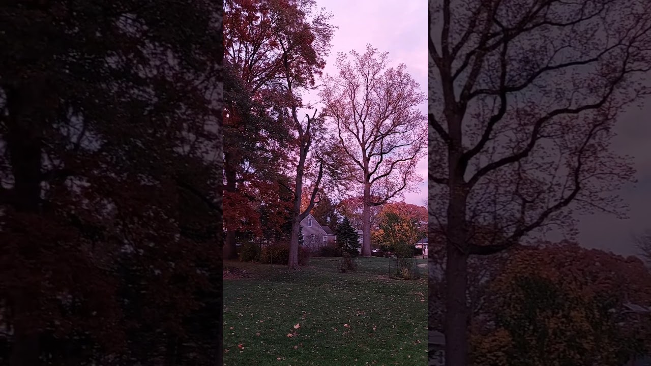 Autumn in New Jersey