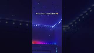 Making a random color generator 😍 | Daily Led Lights | Rate 1-10 😍