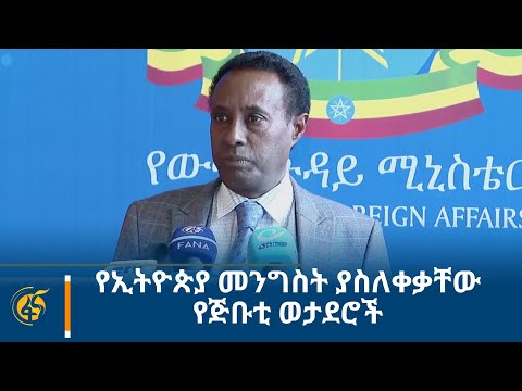 የኢትዮጵያ መንግስት ያስለቀቃቸው የጅቡቲ ወታደሮች