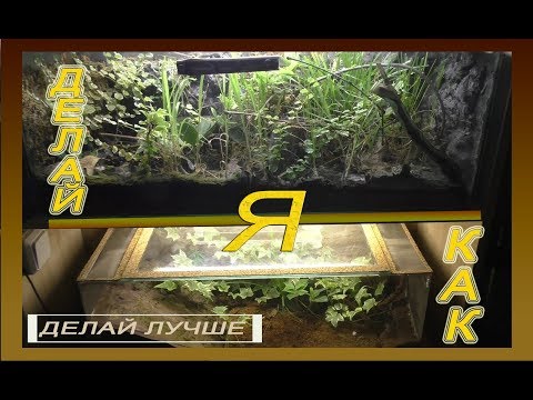 Террариум для муравьёв. Делай как Я.