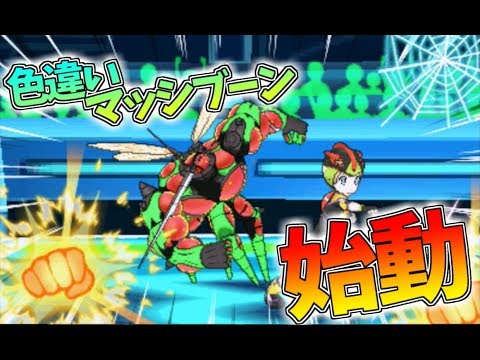 ポケモンusm 色違いマッシブーン 始動 ゆっくり実況 ウルトラサン ムーン Youtube