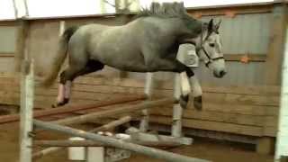 Ruby jump 3'