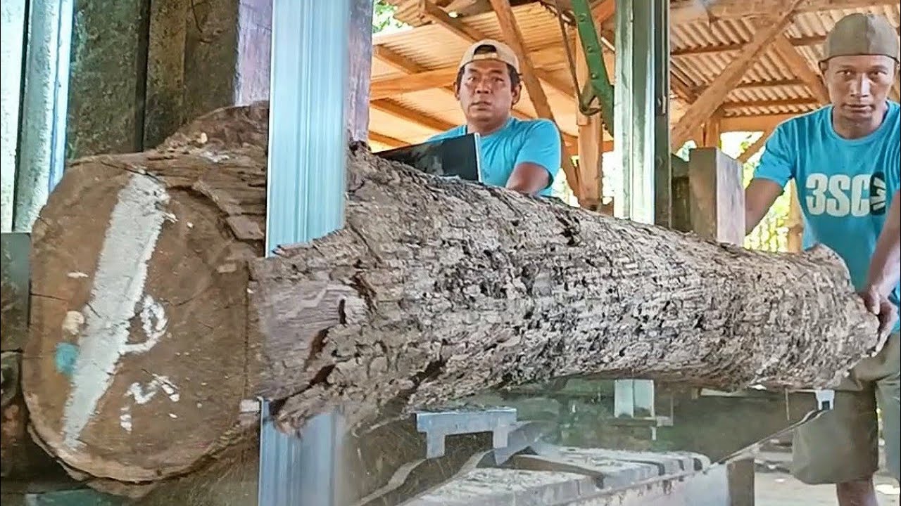 Amazing technique for sawing dry teak wood into nice blocks - YouTube