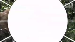 Zoo Moo Flashintro Trailer