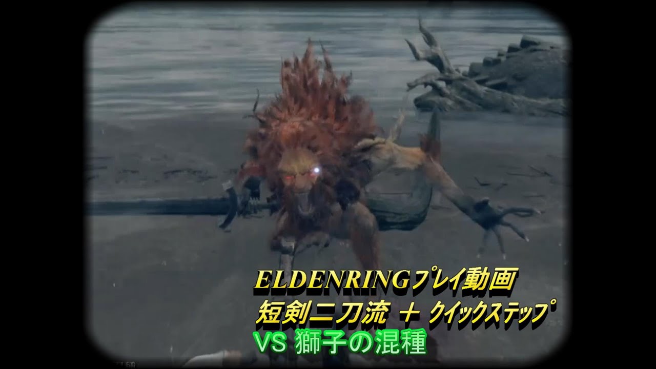 4 Elden Ring 盗賊ﾌﾟﾚｲ動画 短剣二刀流 ｸｲｯｸｽﾃｯﾌﾟ 獅子の混種 Voicevox実況 Voice 四国めたん Youtube