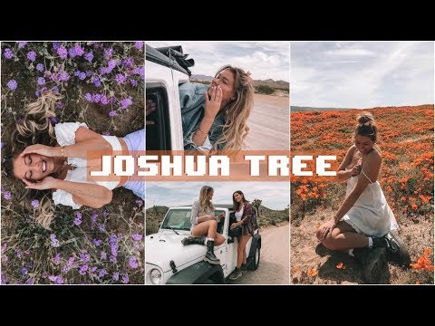 travel-vlog-//-joshua-tree,-ca!