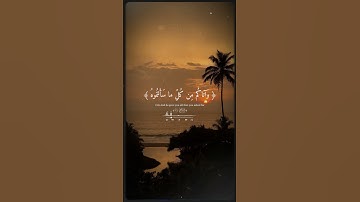 تلاوة تهز القلوب - قرآن كريم بصوت مؤثر يبعث السكينة