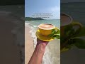 Что выберешь ты? Обои или путешествие?