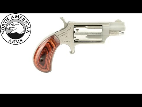 NAA North American Arms  -  Pocket Pistol  -  .22 MAG  -  OACET