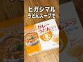 【炊飯器ピラフ】カレーうどんスープで作る、極上カレーピラフ【ヒガシマル】