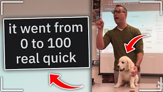 These Videos Are Cut Perfectly Rperfectlycutscreams