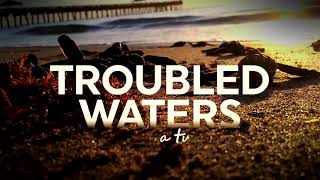 Troubled Waters: A Turtle's Tale