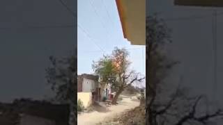 Elektriğin Ağacı Yakış Anı