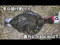 冬の投げ釣りで漢カレイ40cmGET