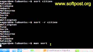 Sort command in CentOS