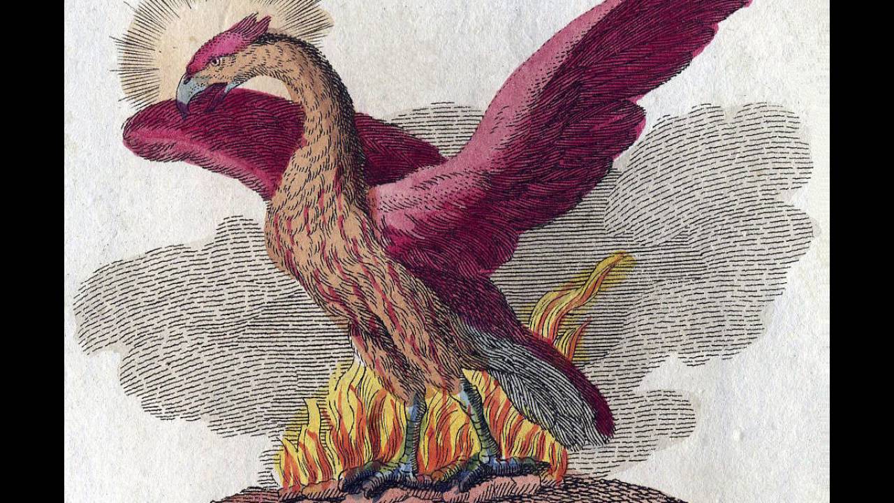 Egyptian book of the dead becoming the phoenix youtube