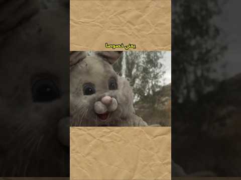 فلم السفاح الأرنب سيء كثير 