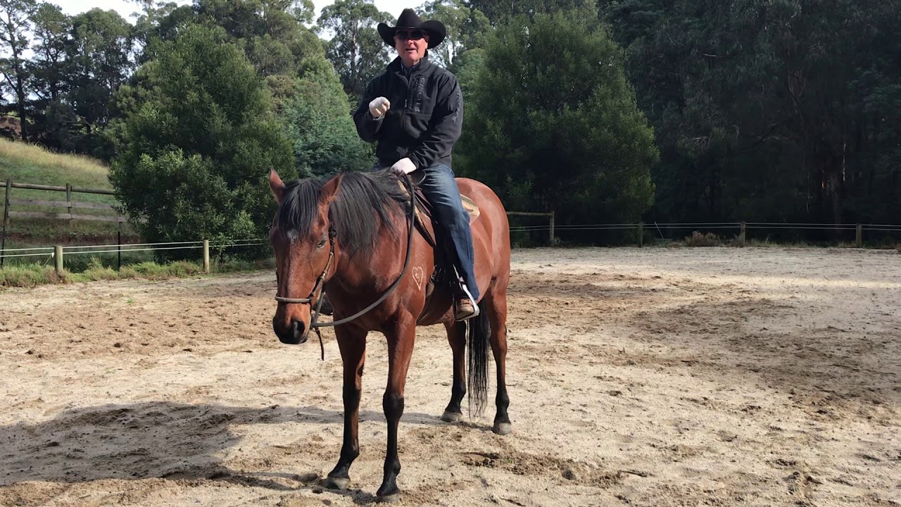 How teach a horse to respond to your leg pressure, move off your leg