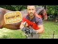 ► Como herrar un caballo 🐴 por los herradores Fernando Pérez Castañeda y Javier Buenaga.