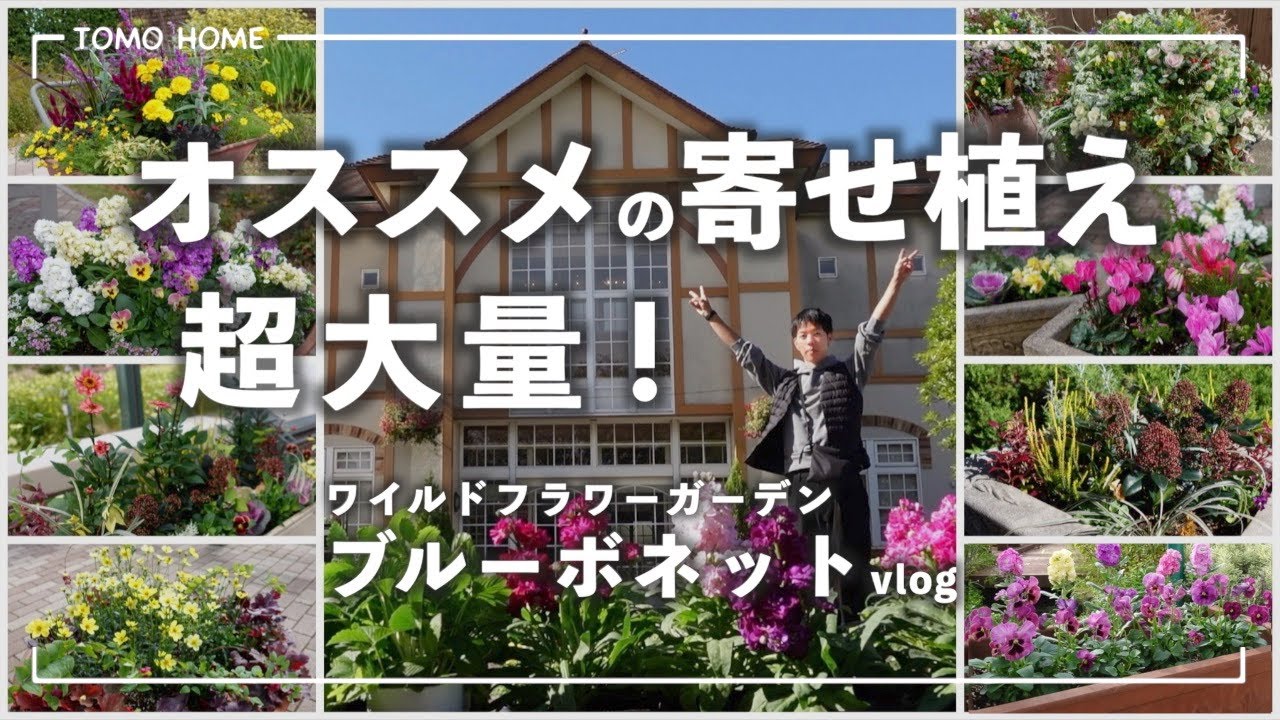 【ビオラ/葉牡丹】参考になる寄植えがたくさん！ワイルドフラワーガーデン/ブルーボネットへ行ってきた【パンジー/vlog】