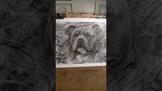 BEWARE of Dog! Pitbull Drawing #charcoal #drawing #art