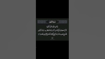 القرآن الكريم سورة الكهف آيه ٤٥