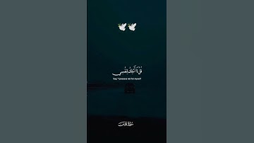 ويقولون متى هذا الوعد 🕊️ تلاوة هادئة 🕊️ سورة يونس 🕊️ للقارئ #عبدالرحمن_مسعد #quran #راحة_نفسية