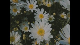 🌫️ Sad Kpop Playlist (sad/relax/sleep - korean songs)