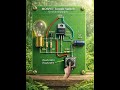 ##MOSFET Toggle switch current #automatic  electrical worldA##