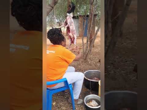 ## slaughtering a sheep ..part 2 women can also slaughter a goat or ship or cow give us space men.